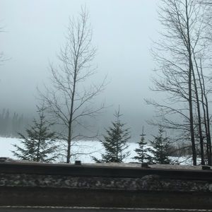 Meet your Posher, Almidy